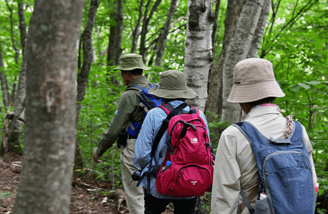 五色ヶ原の森のガイドの様子