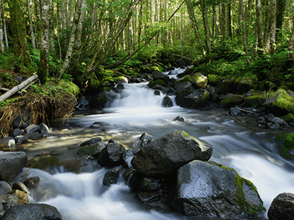 ゴスワラコース画像2