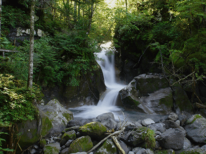 ゴスワラコース画像5