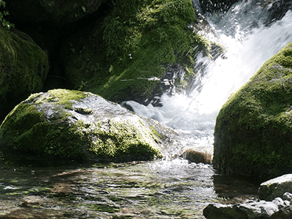 カモシカコース画像2