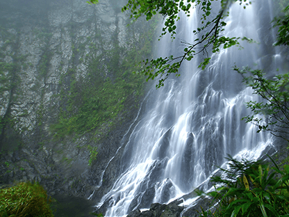 カモシカコース画像4