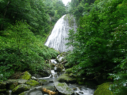 カモシカコース画像5