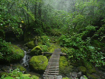 久手御越滝コース画像4