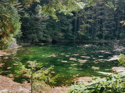 雌池布引滝コース画像3