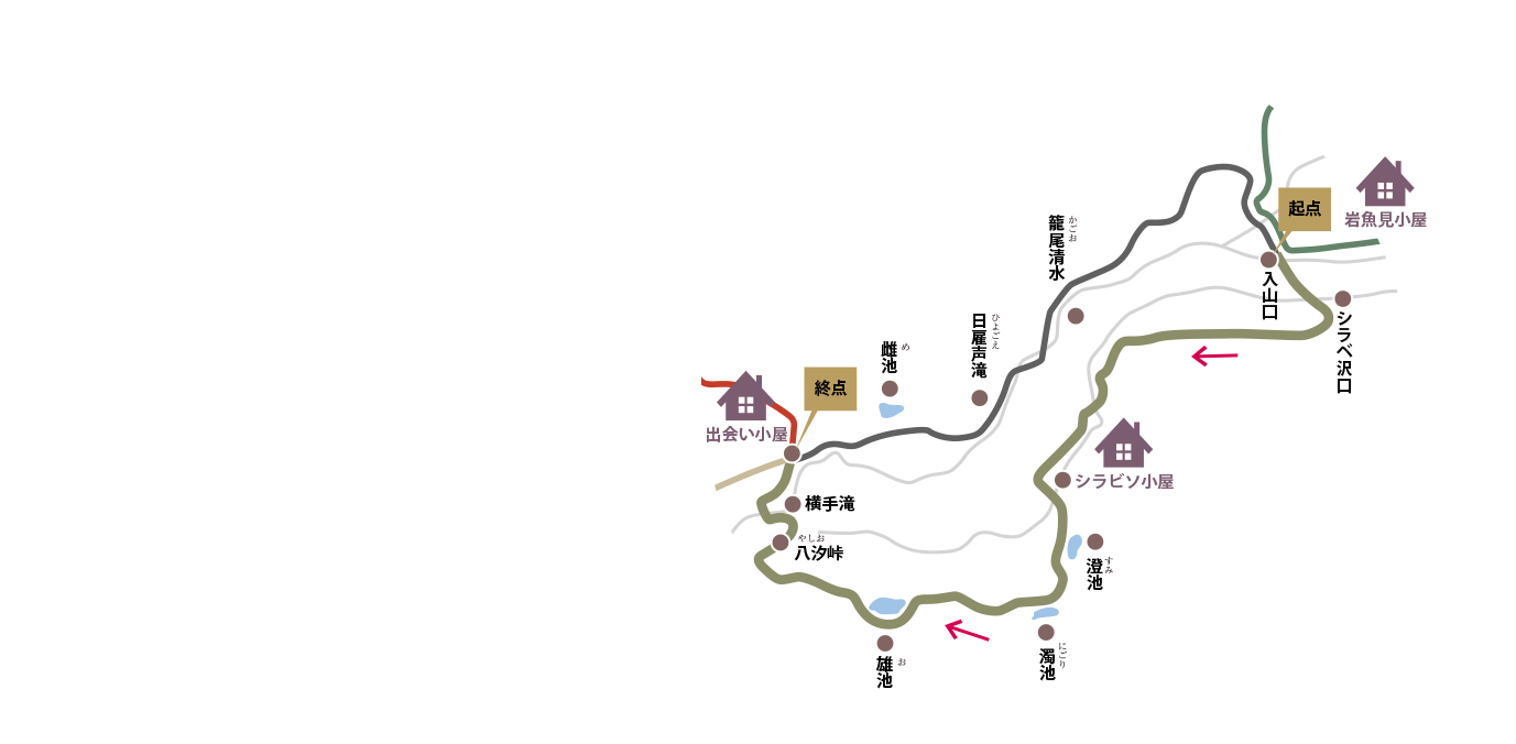 シラビソショートコース