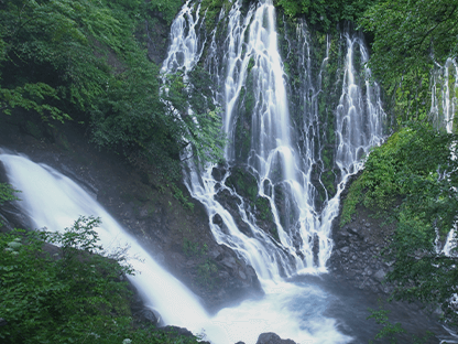 シラビソショートコース画像3
