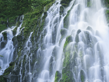 シラビソショートコース画像5