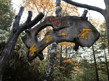 シラビソコース画像1