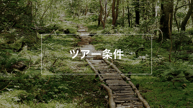 ツアー条件リンク