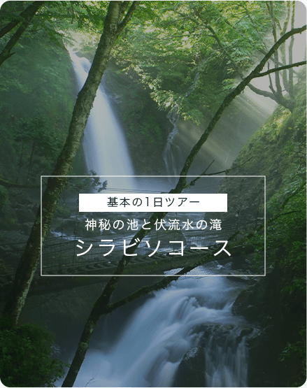 基本の1日ツアー　神秘の池と伏流水の滝　シラビソコース