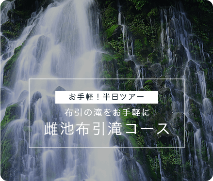 お手軽！半日ツアー　布引の滝をお手軽に　雌池布引滝コース