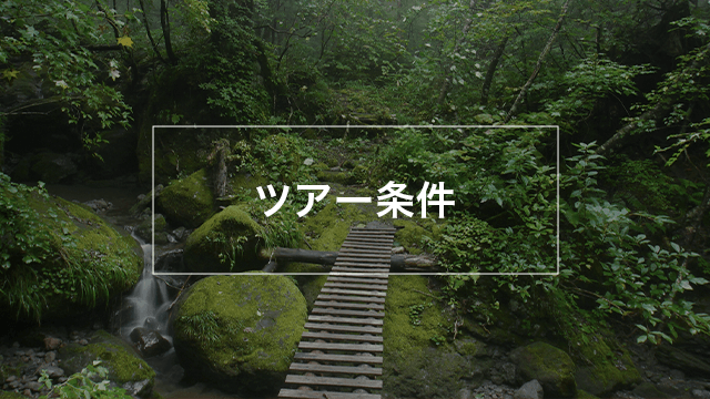 ツアー条件リンク