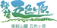 乗鞍山麓 五色ヶ原の森 ひとりじめ 案内板のない登山道